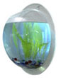 Synthetikpark Aquarium