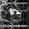 Electric Gates Of Heaven