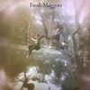 Fresh Maggots