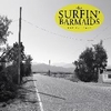 SURFIN' BARMAIDS