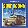 SURF RAIDERS