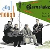 BARNSHAKERS