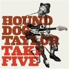 HOUND DOG TAYLOR
