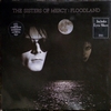 SISTERS OF MERCY