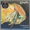 CATAPILLA