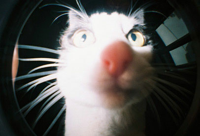 Fisheye Beispiel 07