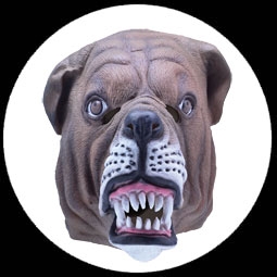 Bulldogge Maske Erwachsene - Klicken f�r gr�ssere Ansicht