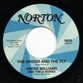 ANDRE WILLIAMS - Rolling Stones Tribute split 10