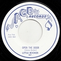 LITTLE BOOKER - OPEN THE DOOR
