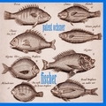 PATENT OCHSNER - Fischer