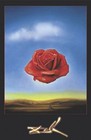 Rose M�ditative