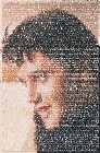 Elvis Presley Poster