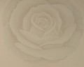 Graue Rose - Retro-Tapete