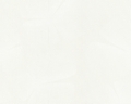 Tapete - Contzen II - Linear Leaf  Weiss