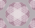 Tapete - Contzen Papers - Linear Flowers - Violett