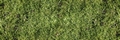 Fototapete Grasgr�n Vlies - Simple Green