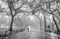 Fototapete - Riesenposter - Henri Silberman - Poet´s Walk