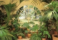 Fototapete - Wintergarten