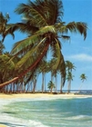 Fototapete - S�dsee Strand und Meer