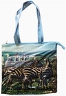 VW Bus Shopper - Safari
