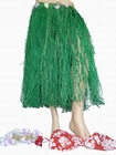 Hula Bastrock Gr�n mit Bikini