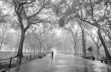 Fototapete - Riesenposter - Henri Silberman - Poet�s Walk - Klicken f�r gr�ssere Ansicht