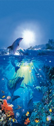 Fototapete Delphin - Klicken f�r gr�ssere Ansicht