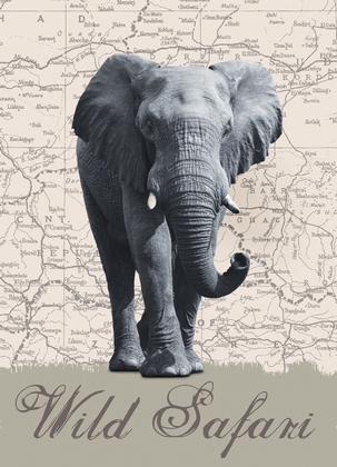 Fototapete - Elefant - Wild Safari - Klicken f�r gr�ssere Ansicht
