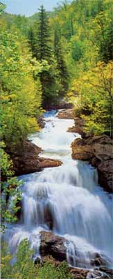 Fototapete - Wasserfall - Wonderfall - Klicken f�r gr�ssere Ansicht