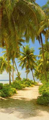 Fototapete - Tahiti - Klicken f�r gr�ssere Ansicht