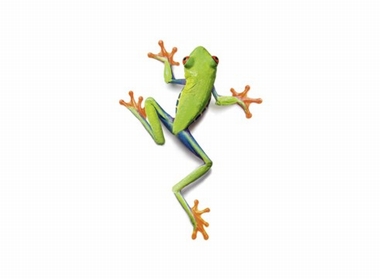 Fototapete Frosch Vlies - Frog - Klicken f�r gr�ssere Ansicht