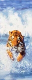 FOTOTAPETE T�R BENGAL TIGER