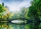 FOTOTAPETE BR�CKE IM PARK