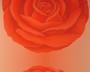 ROTE ROSE - RETRO-TAPETE