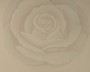 GRAUE ROSE - RETRO-TAPETE